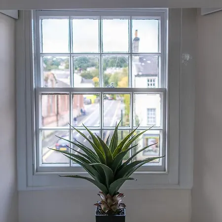 Dom wakacyjny Library View *